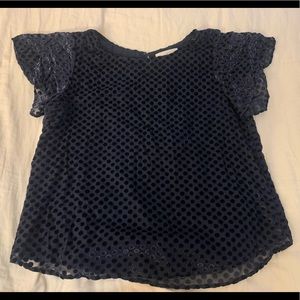 LOFT Velvet Polka Dot Navy Flutter Sleeve Blouse XL